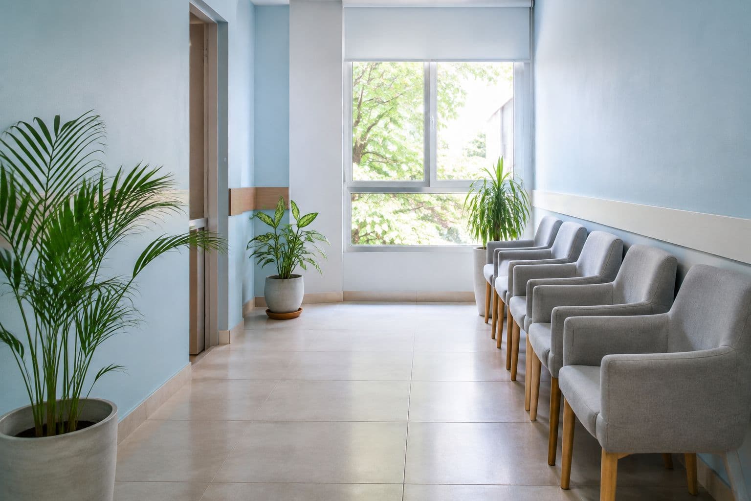 Sala de espera luminosa con sillones grises alineados contra una pared celeste, plantas y un ventanal con vista a los árboles